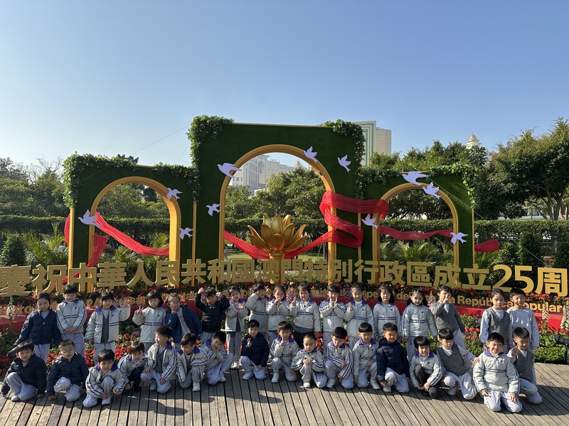 10 d3a73
