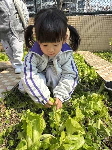 16_f7866.jpg