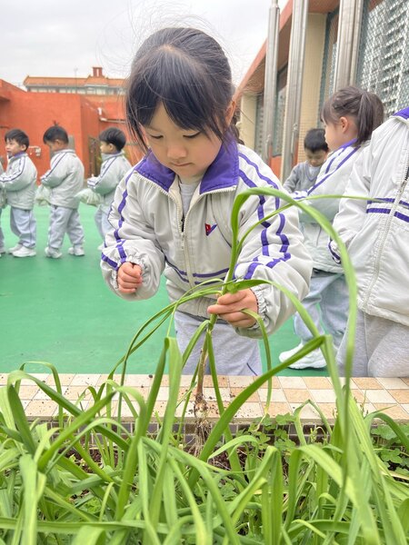 17_3b141.jpg