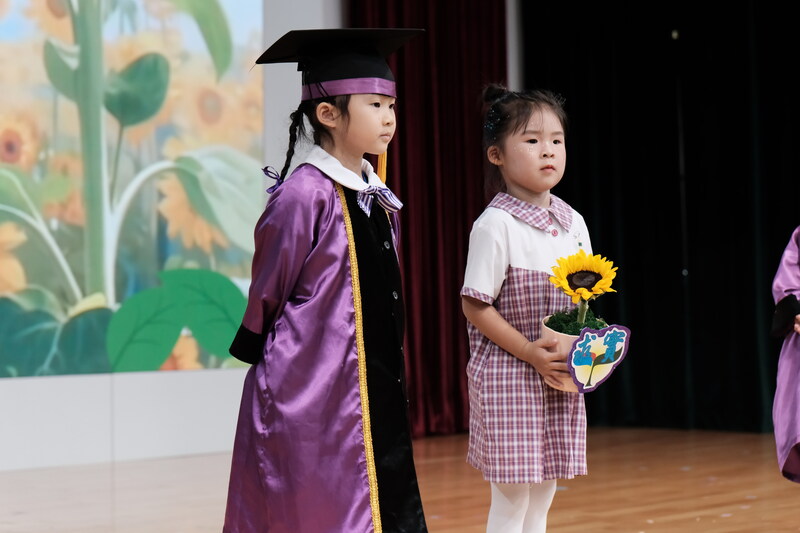 29_c86b1.jpg