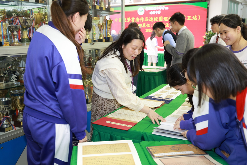 8_cf240.JPG