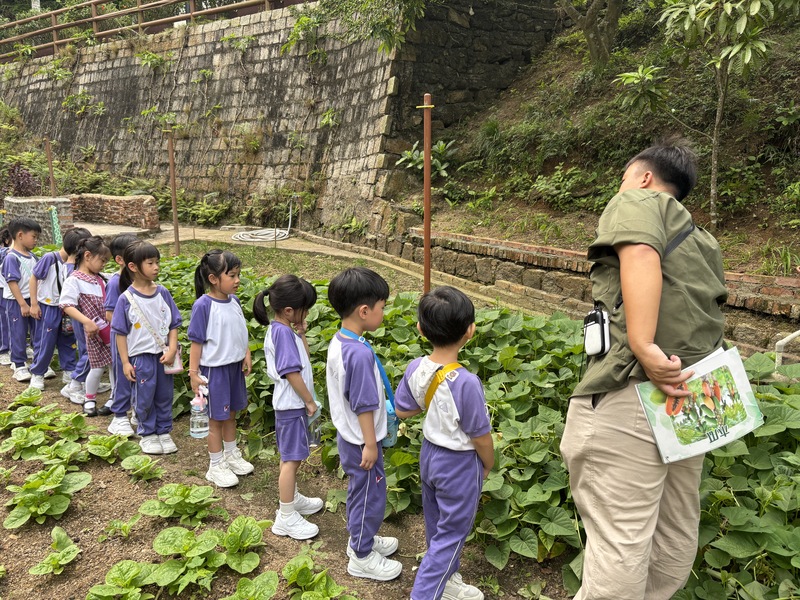 16_4df8c.jpg