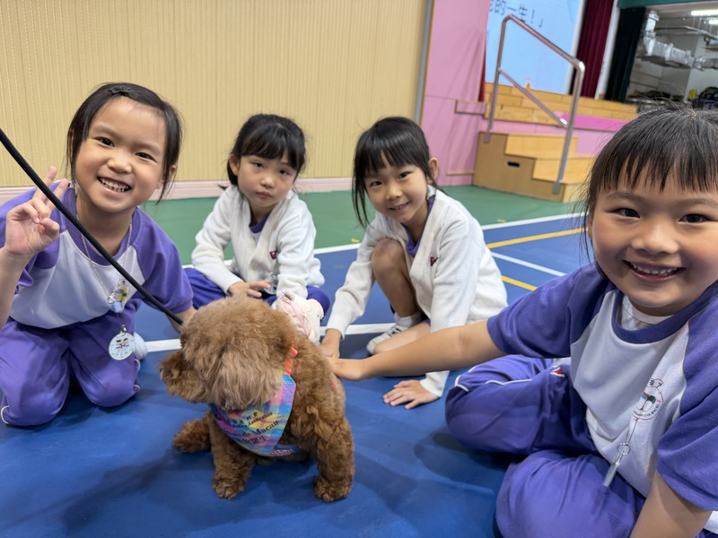 16_a8670.jpg