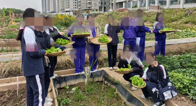 成果教育教学成效_72_92c6e.jpg